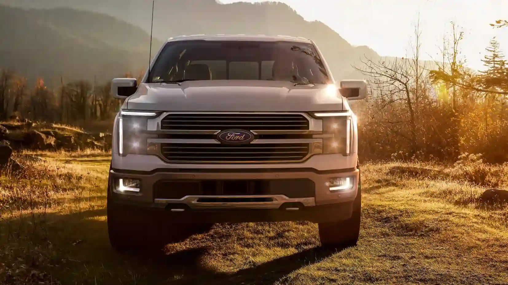 Ford's recall record in 2025 showing 140 recalls affecting 6 million vehicles and 35 percent of all US auto recalls attributed to Ford including three major 2025 F-150 safety campaigns